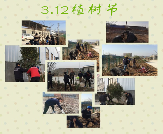 寶雞捷銳“迎春風(fēng)，綠家園”植樹節(jié)(圖3)